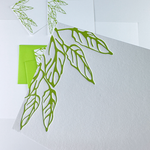 Overhanging Leaves, Letterpress Notecard Set