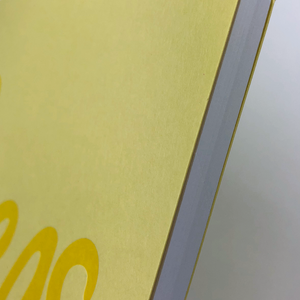 Bright Ideas- Large Notebook | Letterpress Bullet Journal